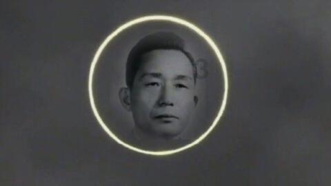 春雨直播app