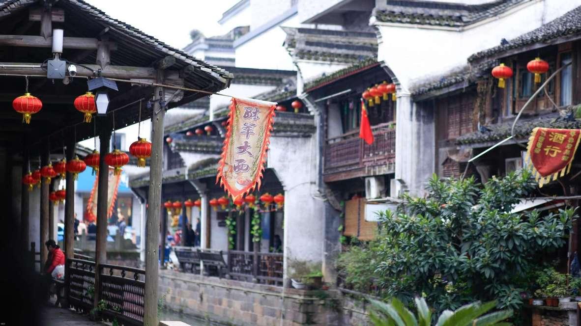对于如何锻炼肺活力?知识星球平台,探索无限智慧